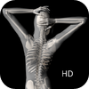 360 Anatomy for Artists HD: Female Figure – Uptown Arts